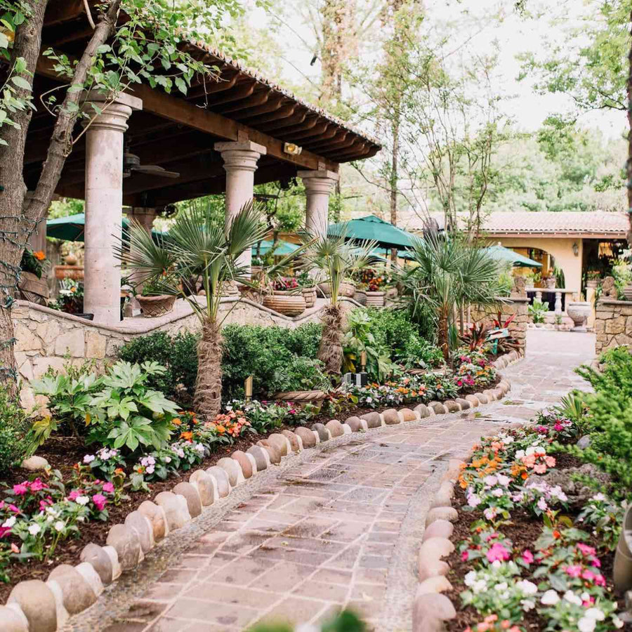 Best Fort Worth Bachelorette Party Restaurants | Joe T. Garcia's