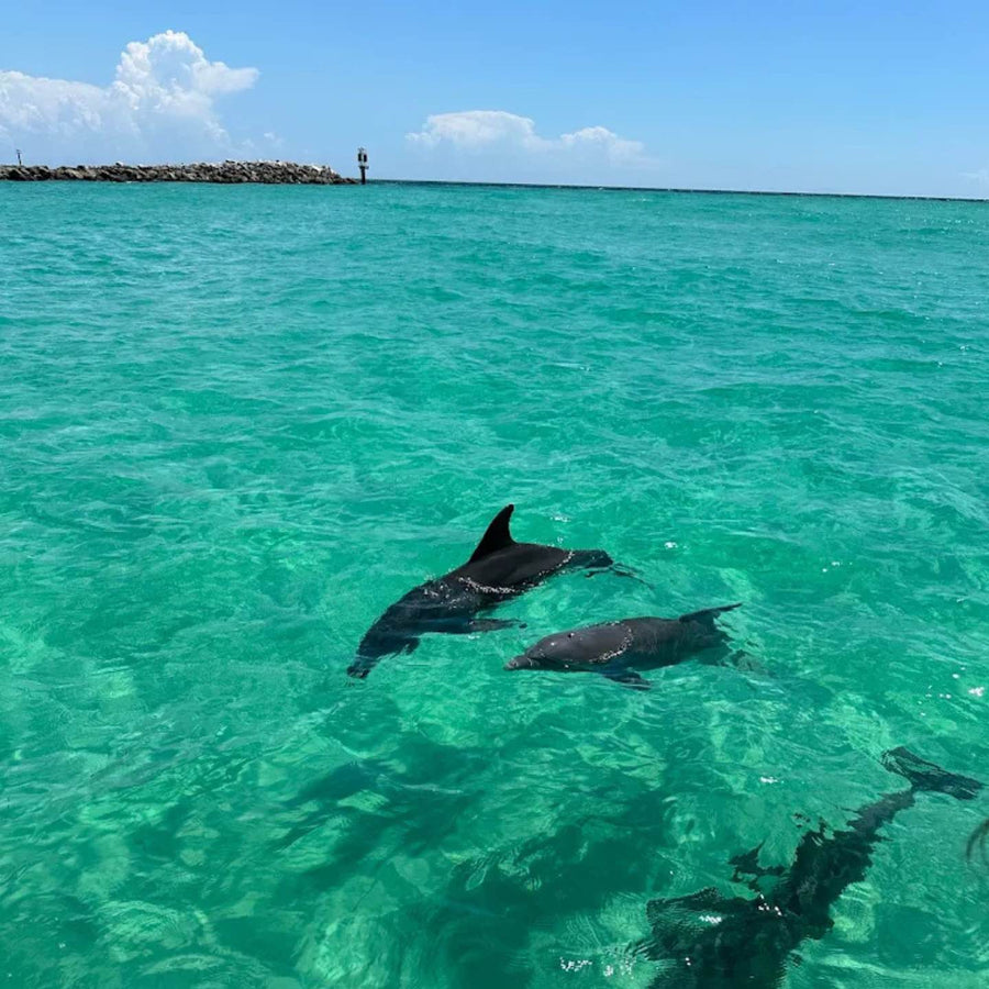 Destin & 30A Bachelorette Party Ideas | Crab Island Dolphin Tours | Stag & Hen