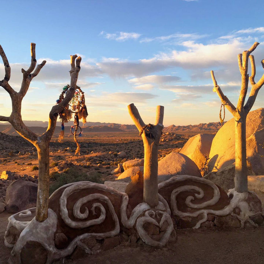 Joshua Tree Bachelorette Party Ideas | Garth's Boulder Garden | Stag & Hen