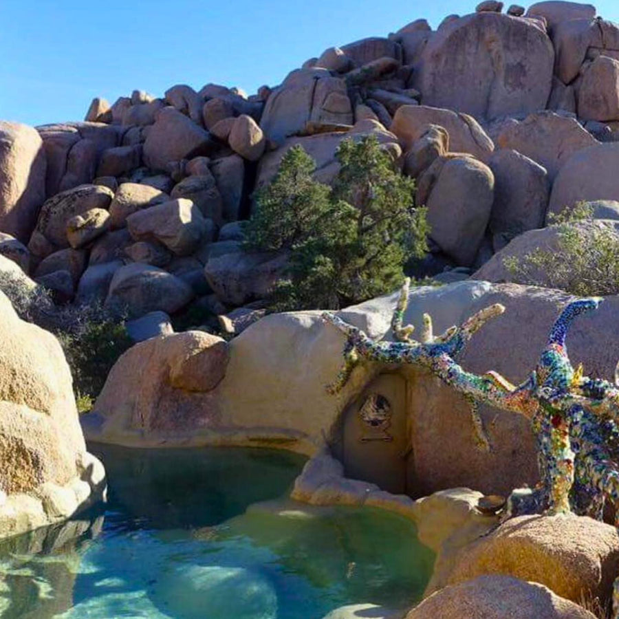 Joshua Tree Bachelorette Party Ideas | Garth's Boulder Garden | Stag & Hen