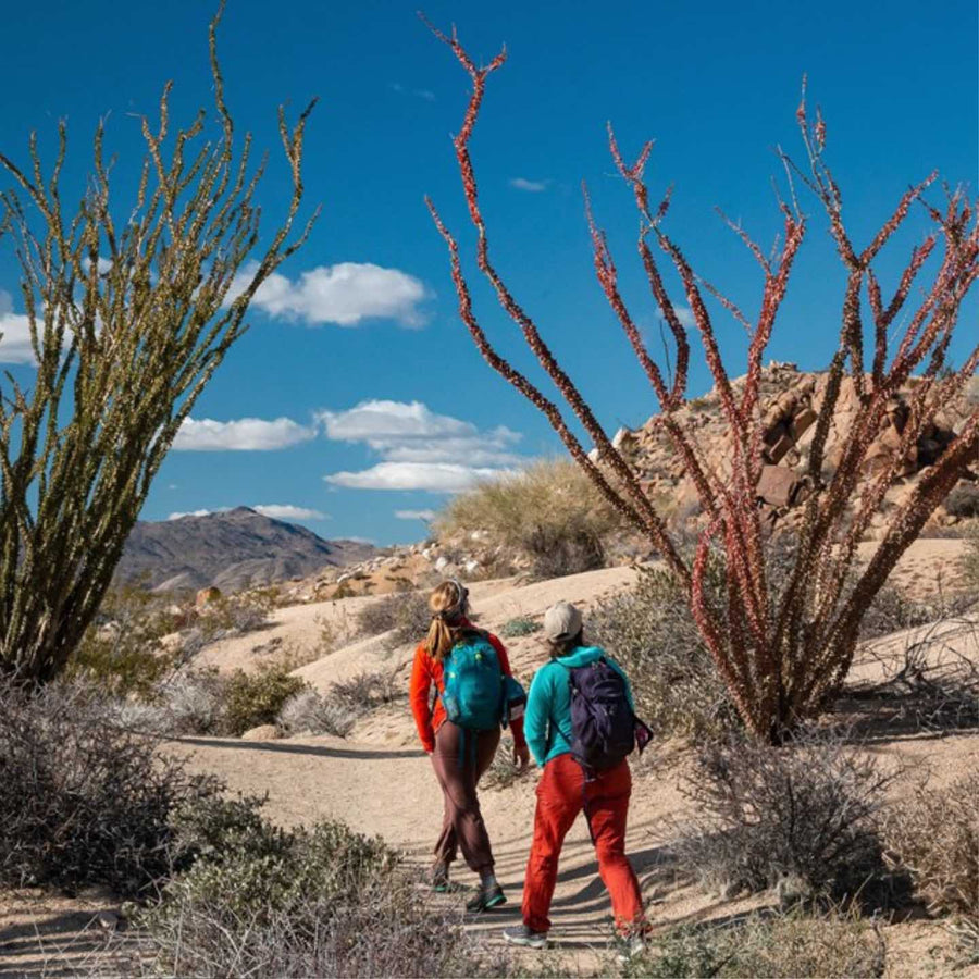 Joshua Tree Bachelorette Party Ideas | Joshua Tree National Park | Stag & Hen