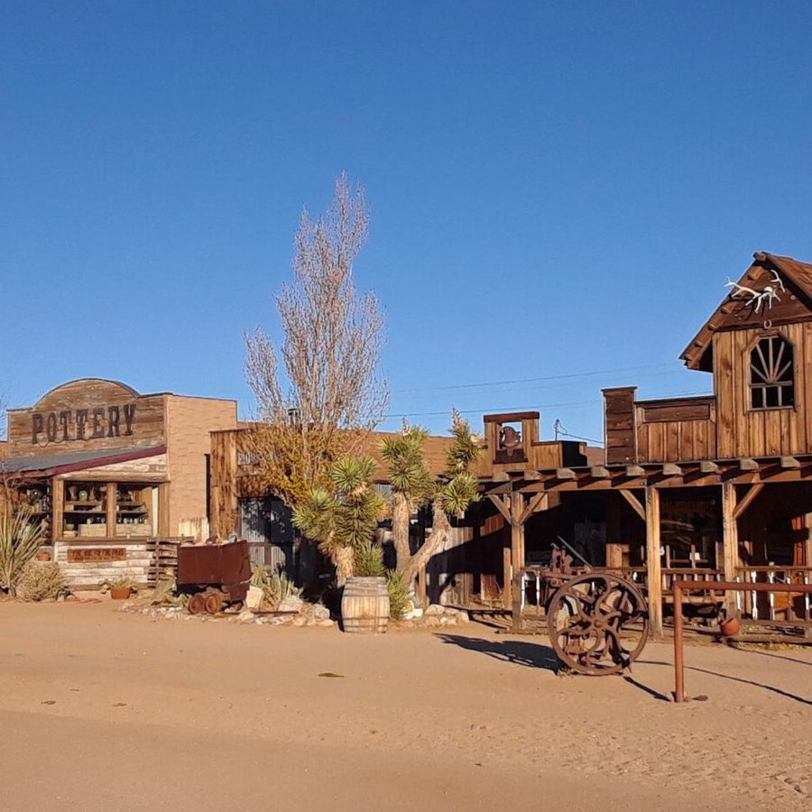 Joshua Tree Bachelorette Party Ideas | Pioneertown | Stag & Hen