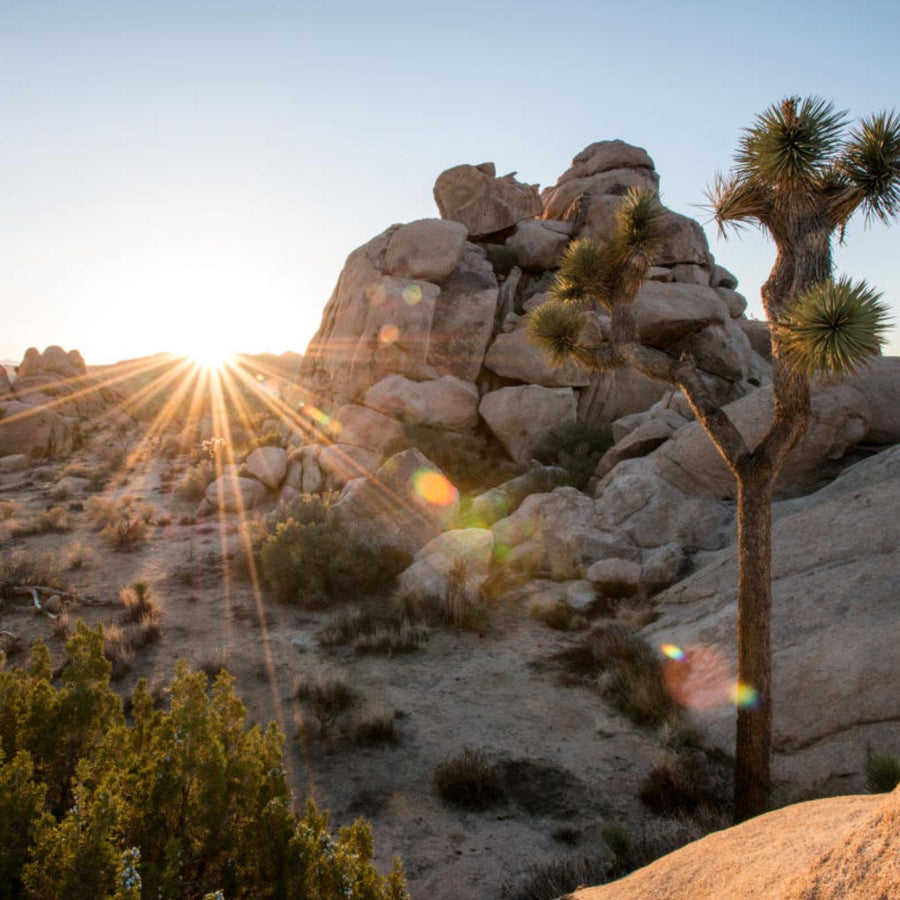 Twentynine Palms Bachelorette Party | 29 Palms | Stag & Hen