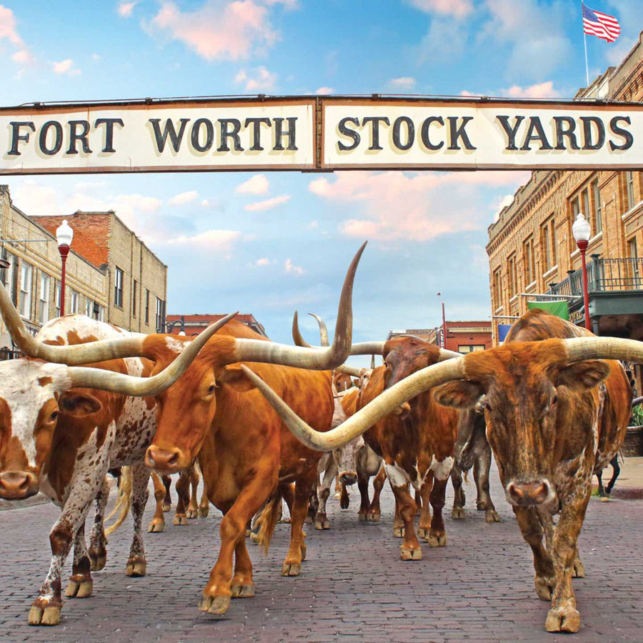 Fort Worth Bachelorette Party: Where to Stay | Fort Worth Stockyards
