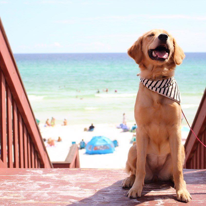 30A Bachelorette Party Ideas - Where To Stay | Stag & Hen