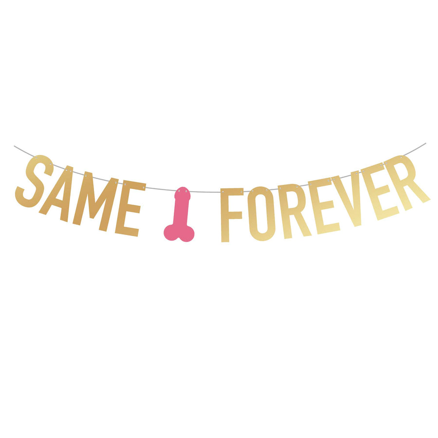 Bachelorette Party Banner | Same Penis Forever | Stag & Hen