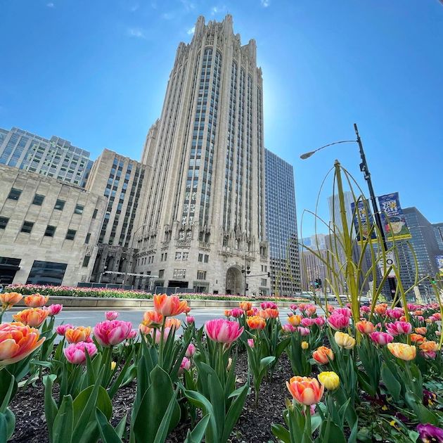 Magnificent Mile