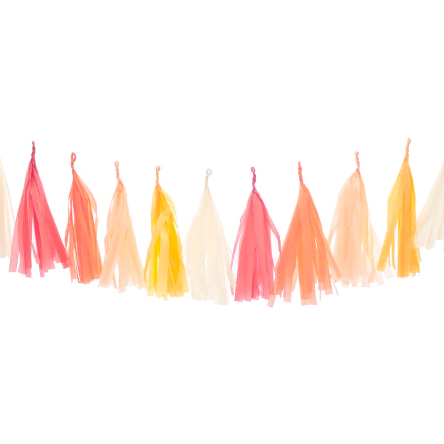 Cheers Beaches Tassel Garland - Stag & Hen