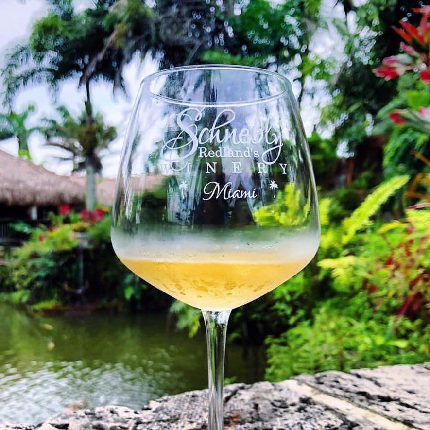 Miami Bachelorette Party Ideas