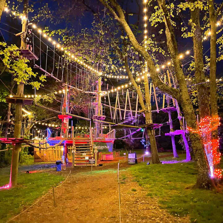 Nashville Bachelorette Party Itinerary Activity Ideas - Zip Lining at The Adventure Park at Nashville